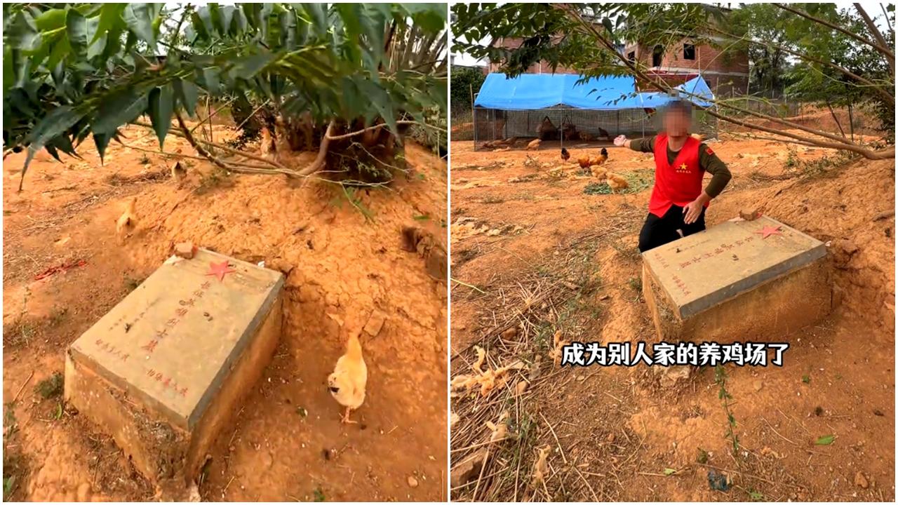 近日內地網上流傳,湖南永州市道縣一長征英雄烈士墓,變成了養雞場。(羊城晚報)