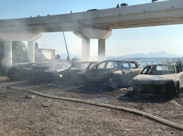 多名車主表示,他們出海回來後才發現愛車被燒了。