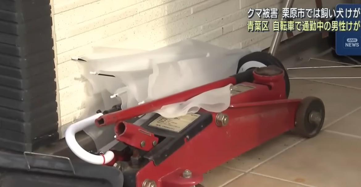 男戶主用千斤頂猛砸野熊。(互聯網)