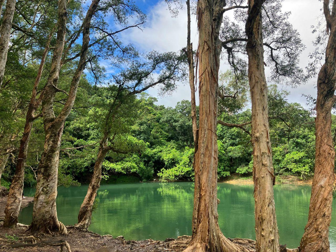 荃灣乘15分鐘小巴﹛可到城門水塘行山減壓。