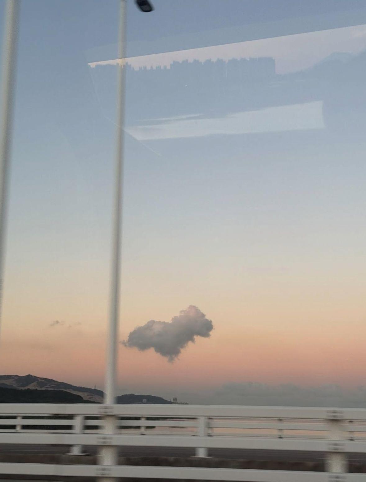 姜濤欣賞美景。