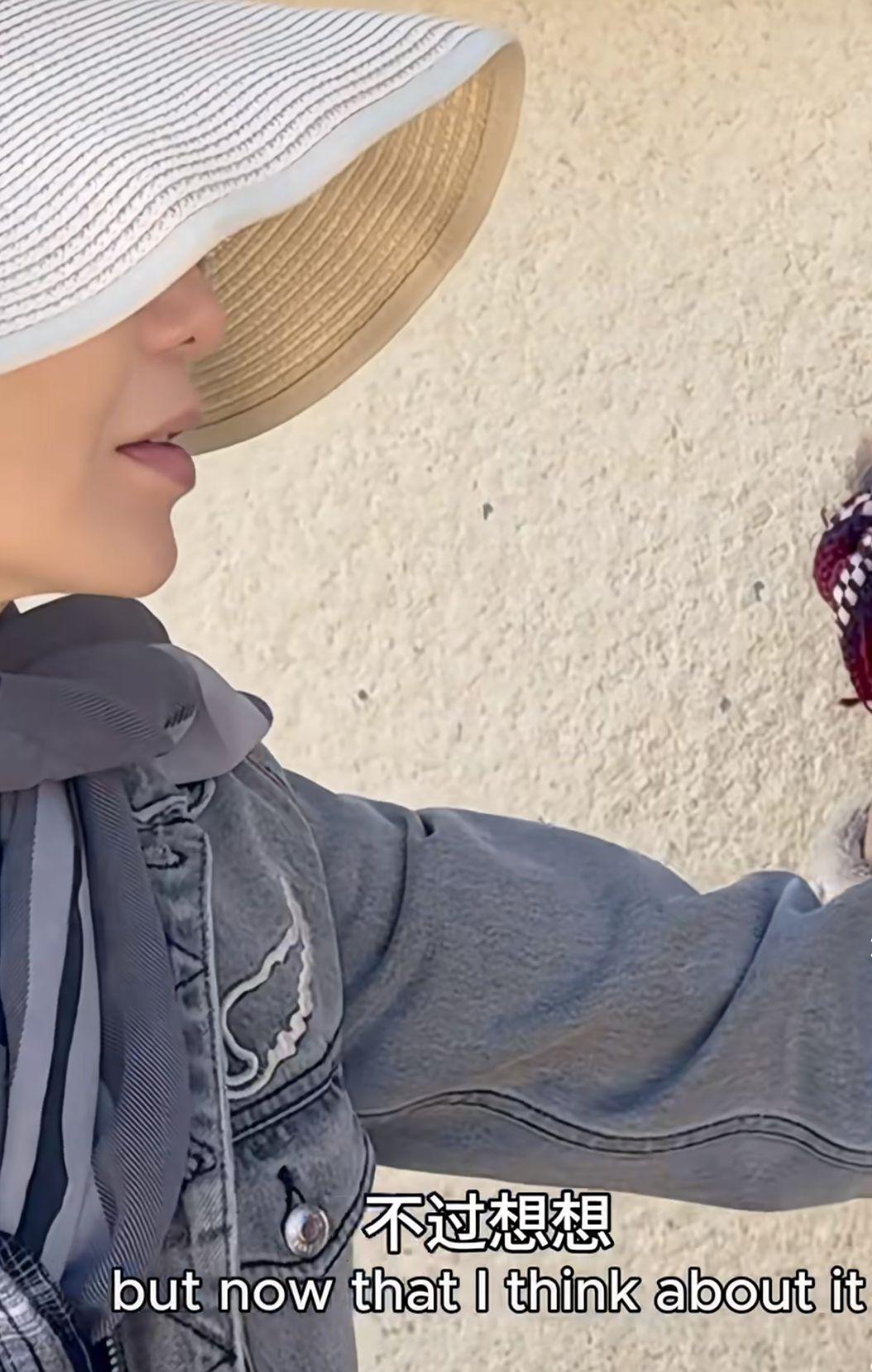 張曼玉分享去年四月拍攝的短片,在法國波爾多的大自然下體驗了幾天。