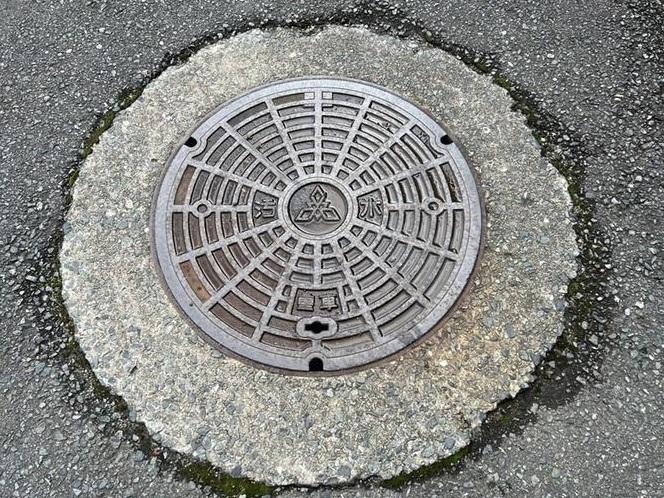 巨型蟑螂從福岡街上渠蓋的孔洞爬出。(互聯網)