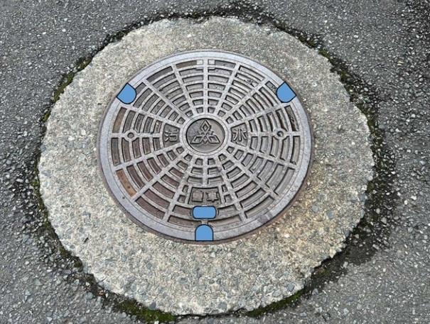 巨型蟑螂從福岡街上渠蓋的孔洞爬出,市政府用膠塞封堵渠蓋上的孔洞,阻止蟑螂爬到街上。(互聯網)