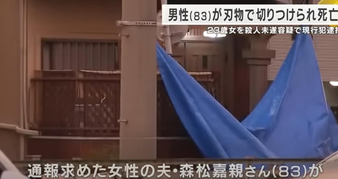 圖為案發住宅。(互聯網)