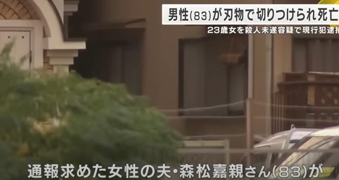 圖為案發住宅。(互聯網)