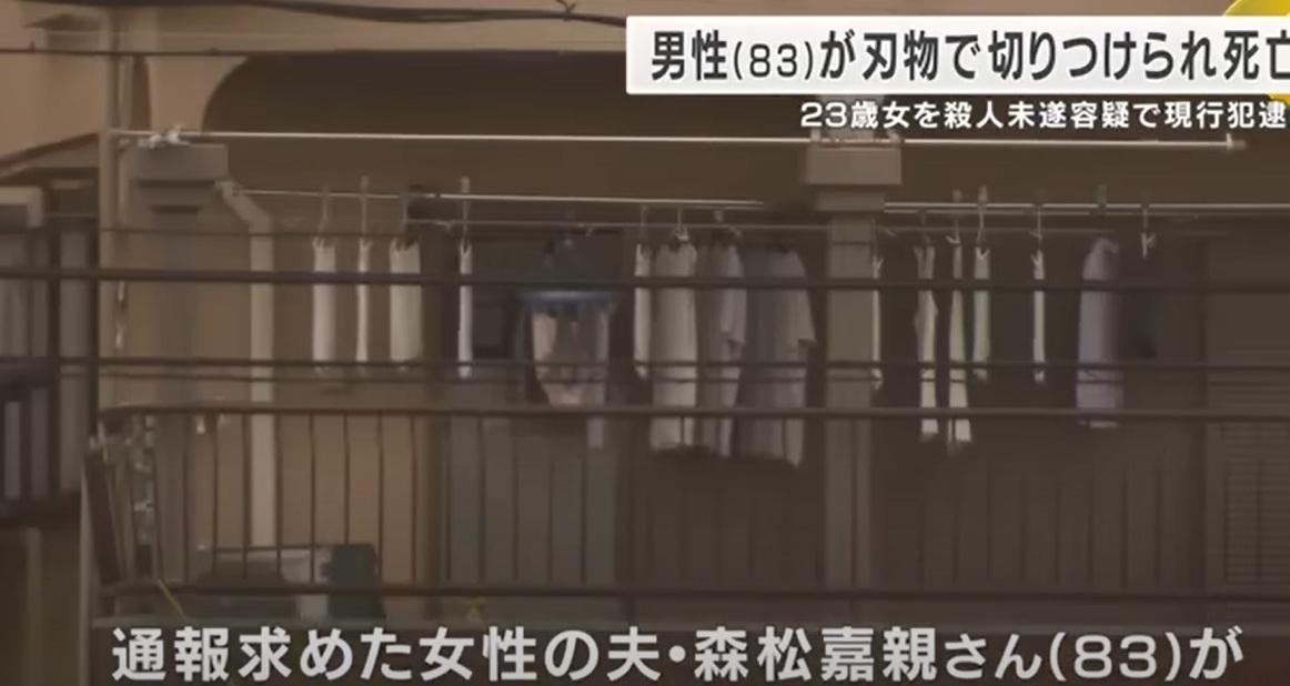 圖為案發住宅。(互聯網)