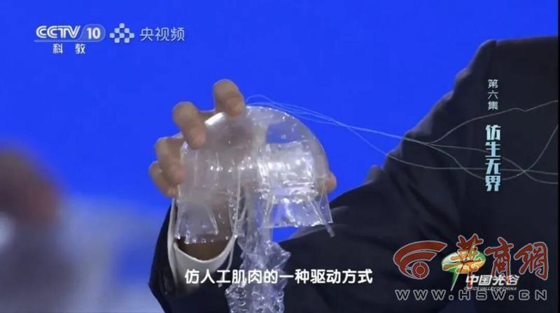 「水下幽靈」仿生機械人直徑僅120毫米,重量僅56克。