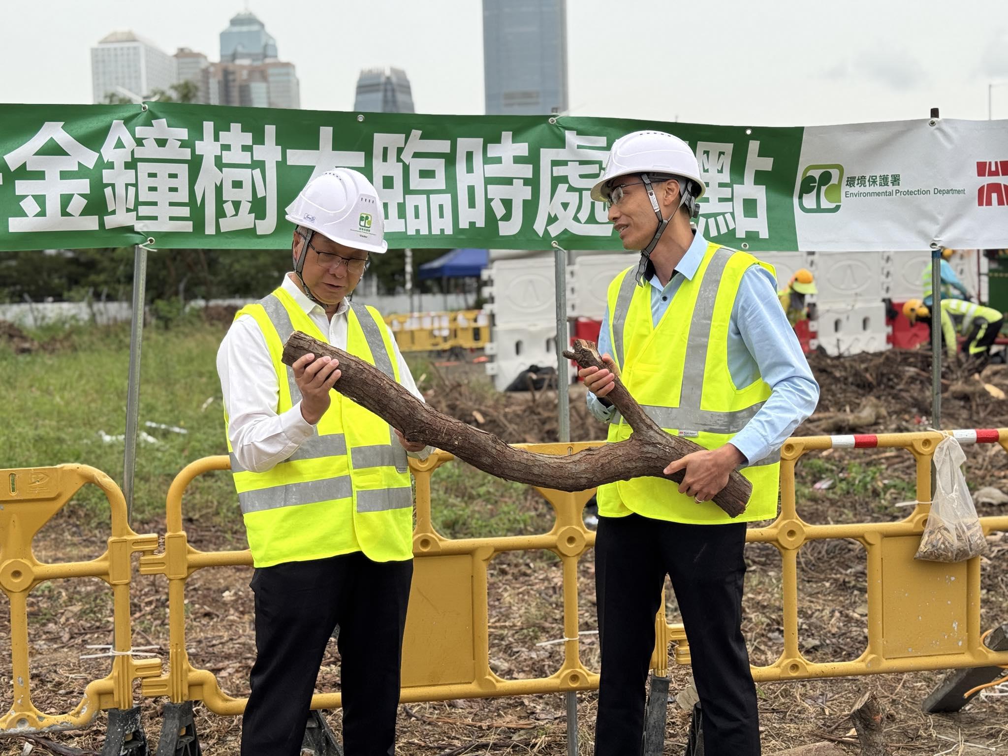 環保署說,共接收超過570公噸塌樹物料,當中篩選出約410公噸物料適合回收再造。(環境及生態局社交網站)