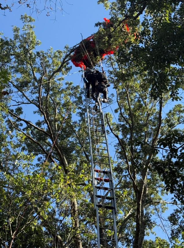 學員卡在樹上,消防員利用滑輪和梯子,將他安全救下。(互聯網)