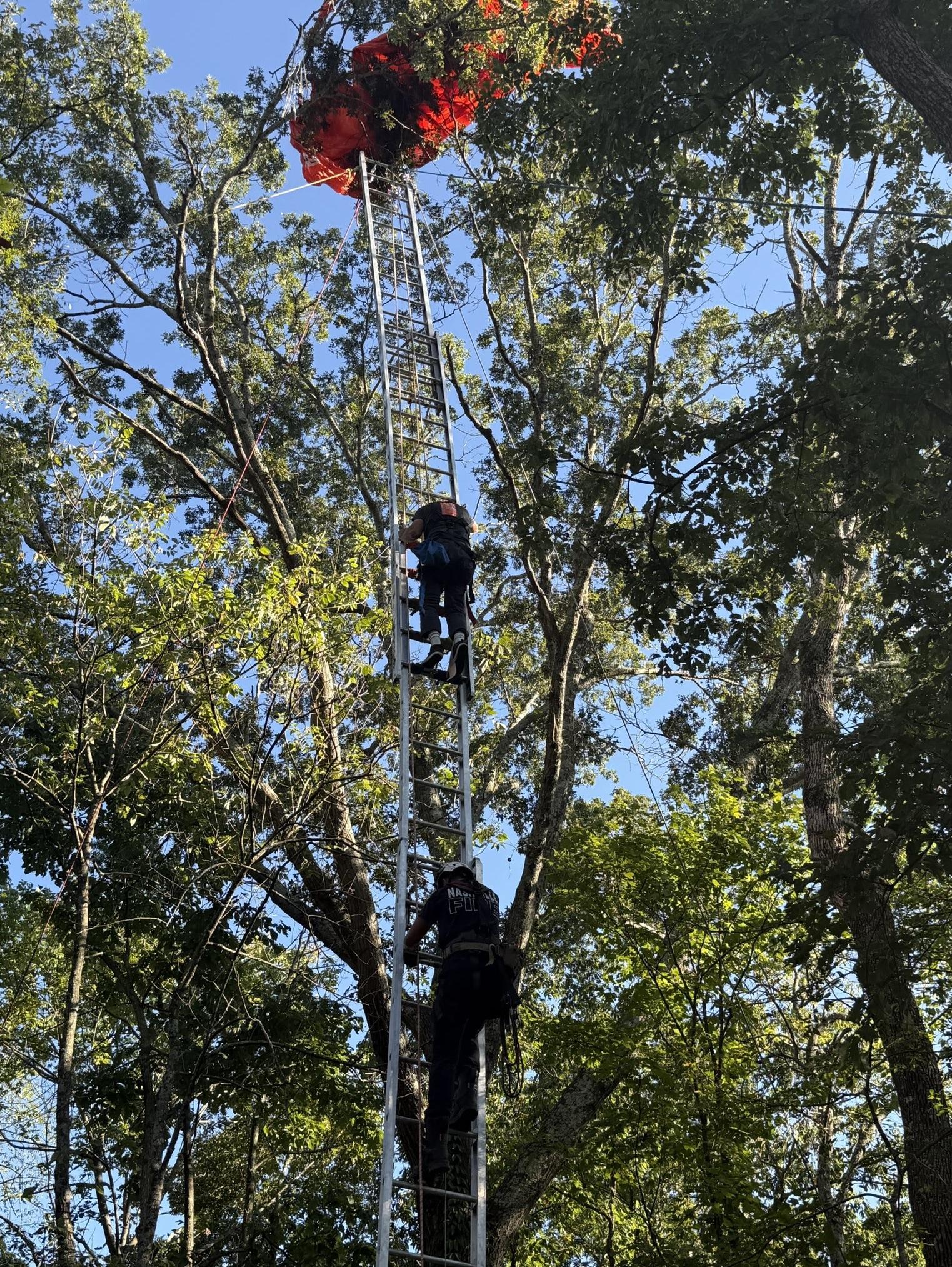 學員卡在樹上,消防員利用滑輪和梯子,將他安全救下。(互聯網)