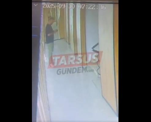 奇格致電丈夫求救,丈夫在升降機外想法子。(互聯網)