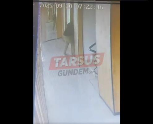 鋼纜突然斷裂,升降機墮地,丈夫探頭看升降機槽。(互聯網)