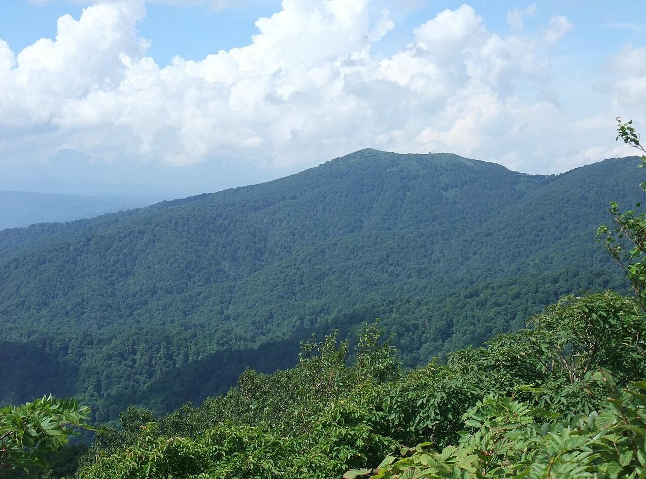 位於青森縣與秋田縣的十和田山。(互聯網)