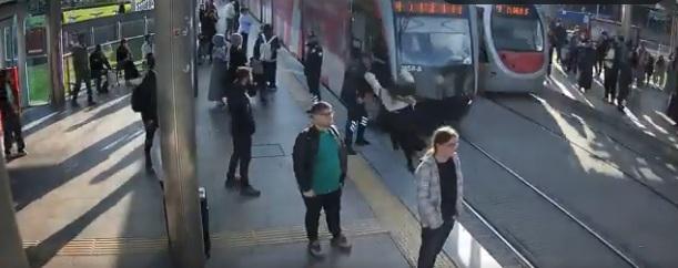 女子沒察覺有電車駛至便過馬路,車站保安員及時伸手拉她回路邊。(互聯網)