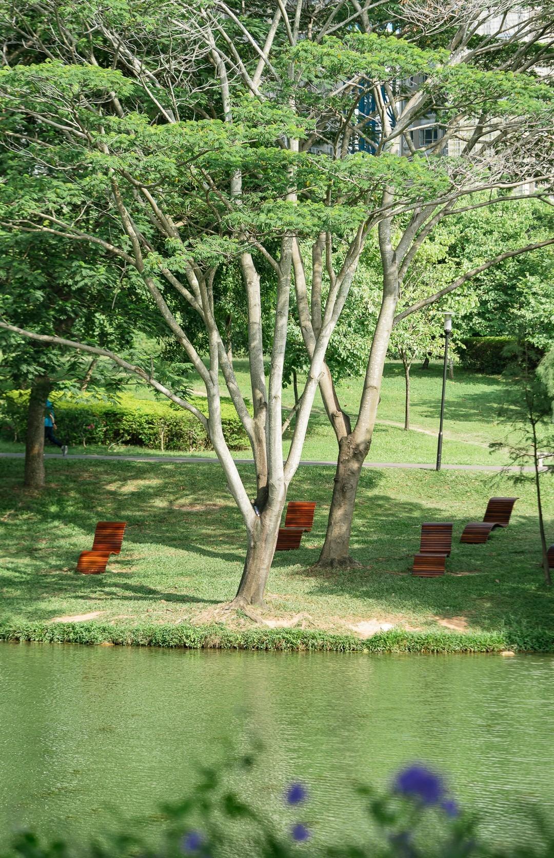 中心公園內,沿着河道的草披上有一張張設計獨特的精美木椅,能夠坐下觀賞河邊風光,在網絡上曾紅極一時。(圖片來源:幸福福田官方公眾號)