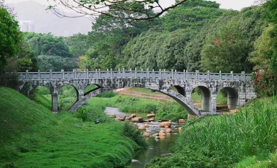 中心公園內的廊橋。(圖片來源:中共深圳市福田區委宣傳部)