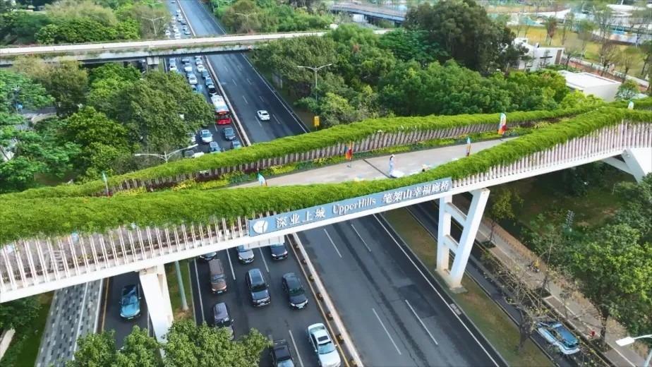 連接筆架山公園、蓮花山公園與深業上城的,為一道特色廊橋名為「幸福廊橋」,令人有穿越原始森林到現代商場的夢幻體驗。(圖片來源:視頻截圖)