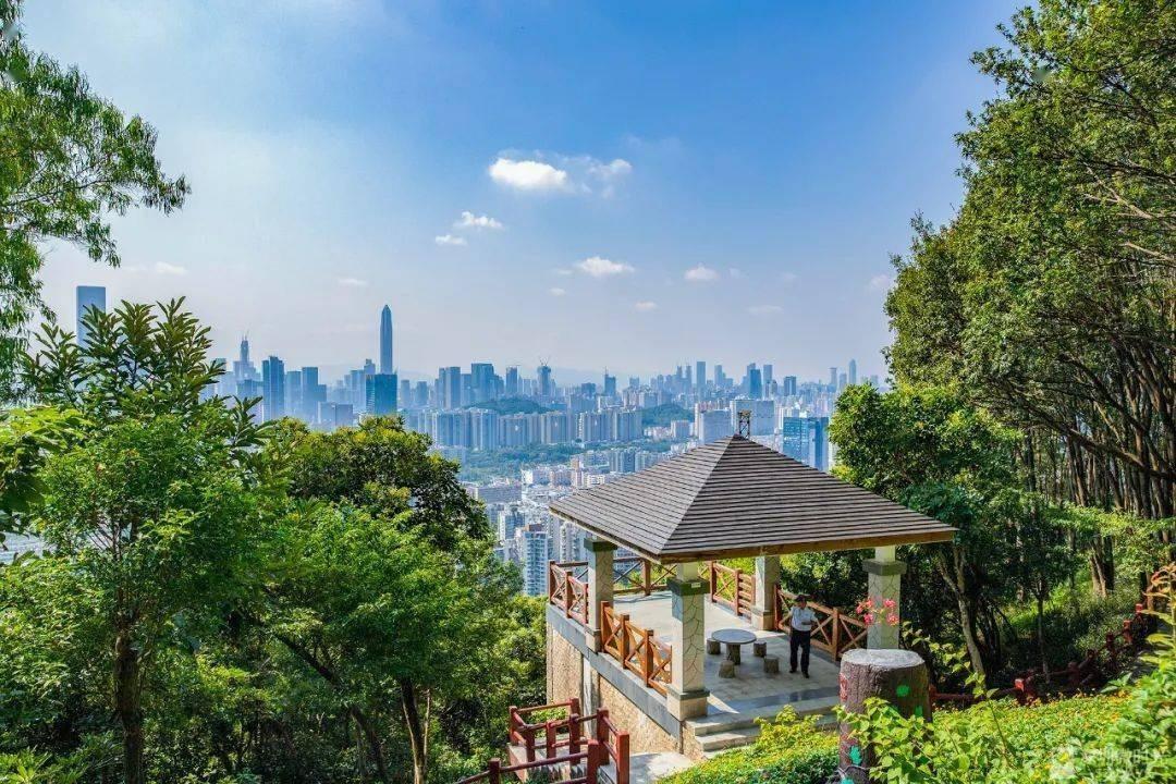 銀湖山公園位於羅湖區清水河街道銀湖社區,園內有豐富的原始生態林景觀,在雞公社觀景台則能飽覽深圳市中心景觀。(圖片來源:Shutterstock)