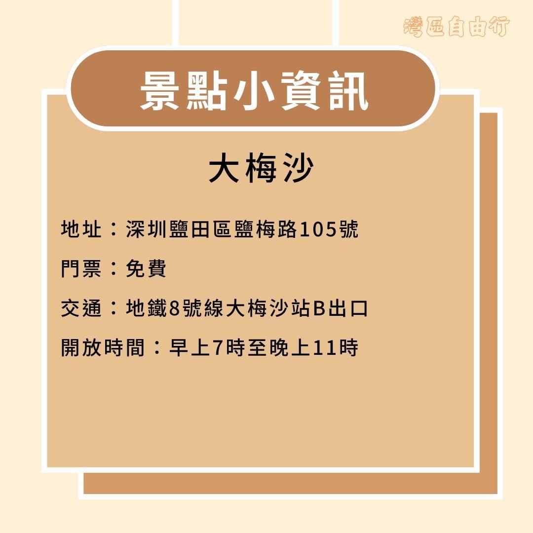 深圳大梅沙地址、開放時間及交通(當代中國製圖)