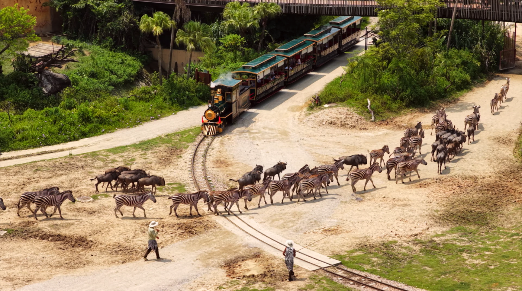 非洲大草原及小火車