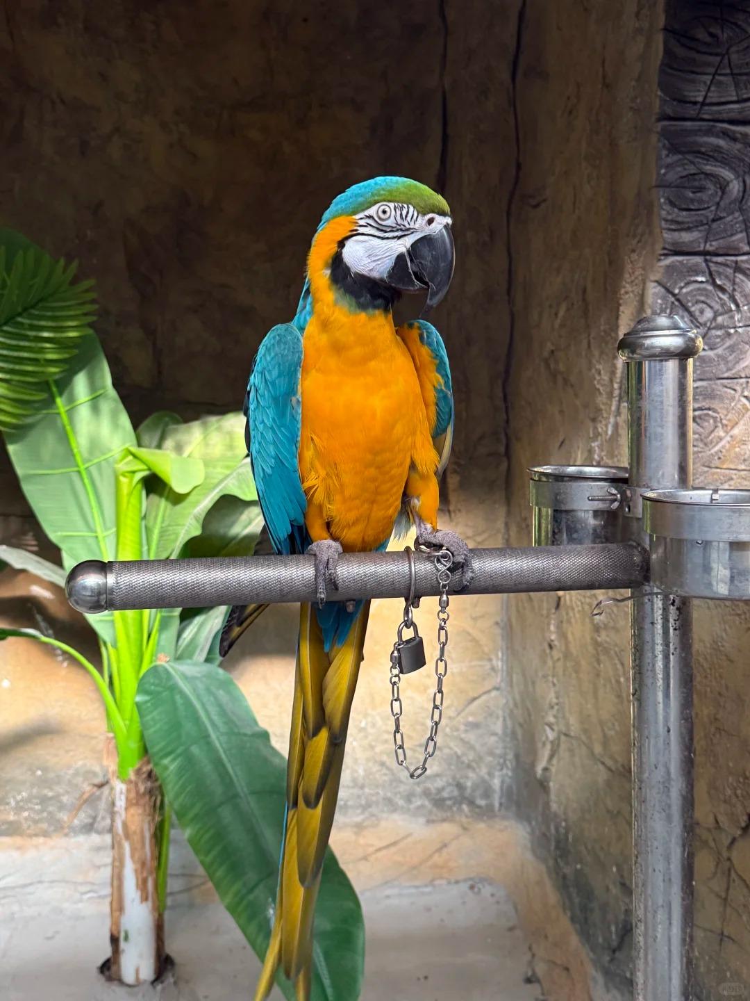深圳好去處|野恩動物樂園(海雅店)