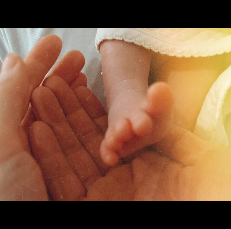 許瑋甯今年8月為邱澤一索得男。