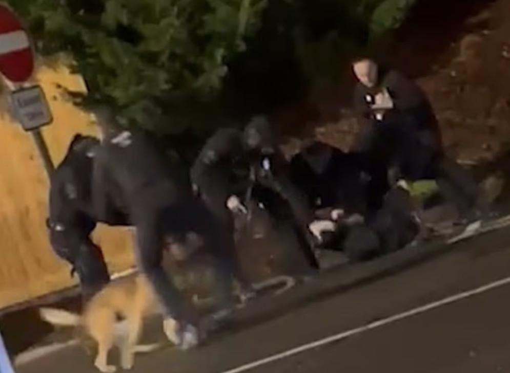 疑兇被制服在地時大叫「殺死我」。(互聯網)