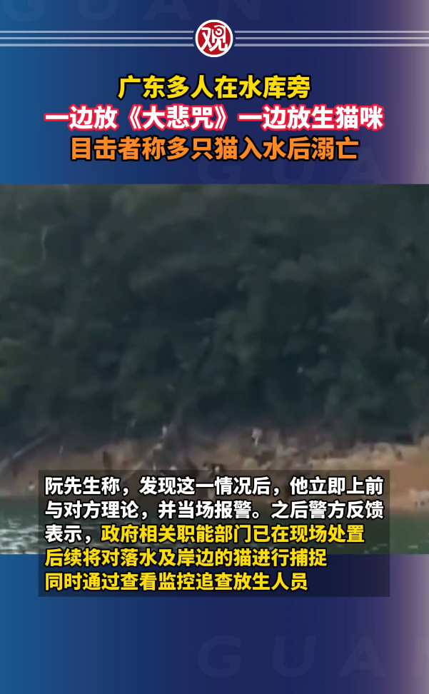 廣東多人在水庫放生大量貓 目擊者:有貓溺斃