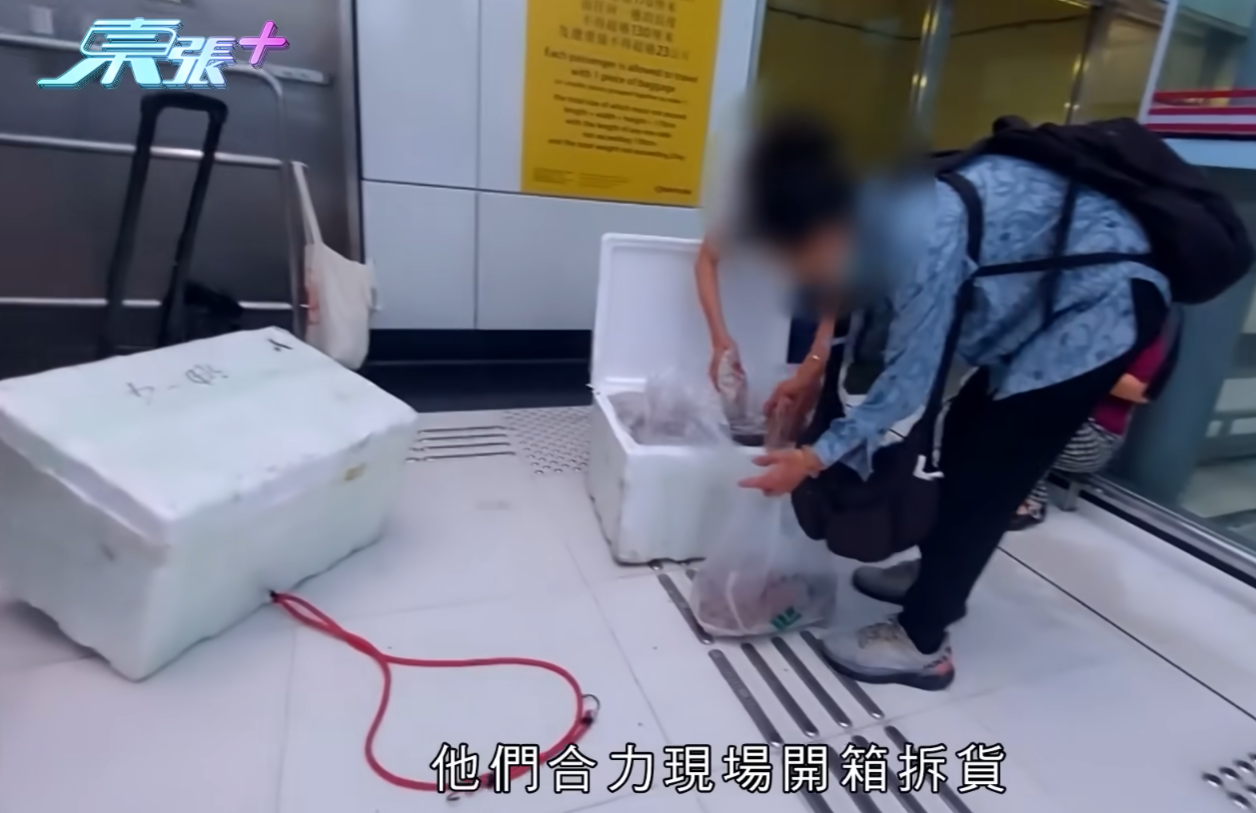 《東張》揭露一條龐大的內地走私海鮮等食材的產業鏈,水貨客以「螞蟻搬家」方式將疑似未經檢疫海鮮運港,處理過程極不衛生(《東張西望》)