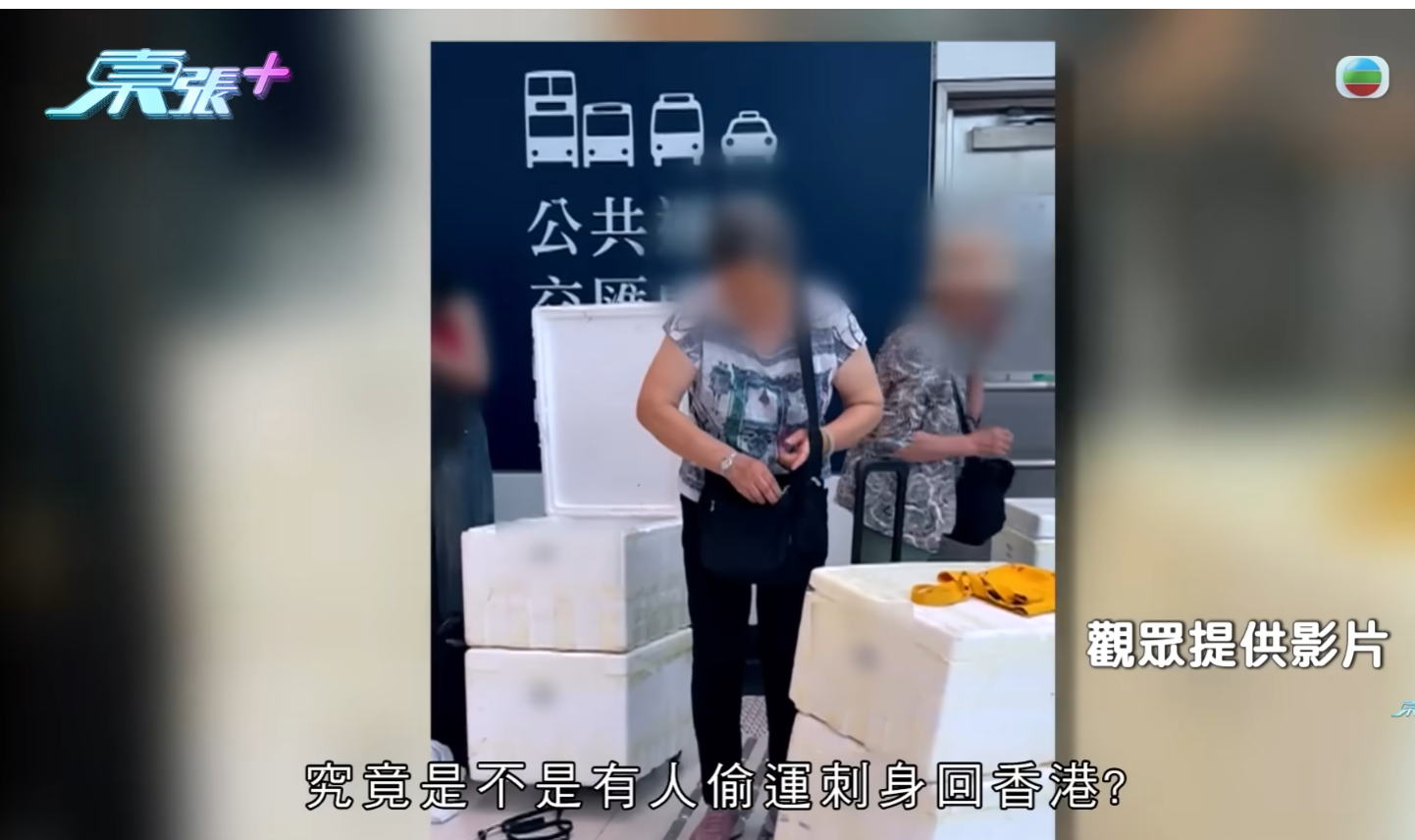 《東張西望》播出調查報道,指懷疑有水貨客由內地走私海鮮、刺身、肉丸、沙蟲等食材至香港。(《東張西望》)