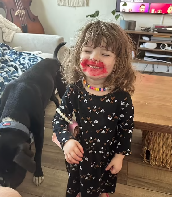 帕克(Parker)被遺留車內熱死。(互聯網)