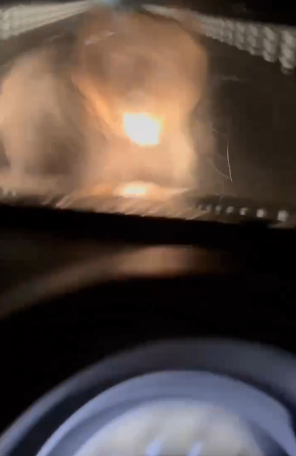 北海道巨大棕熊撲向車 司機慌忙後退車蓋留凹痕(有片)