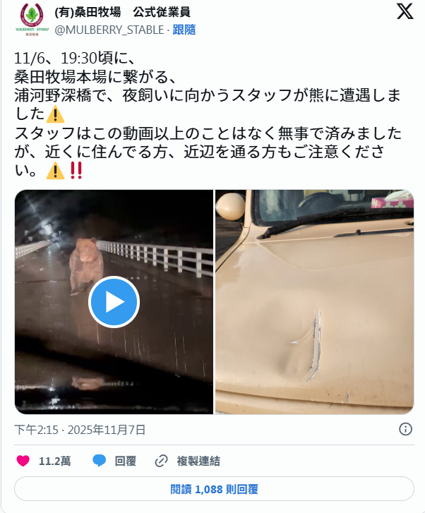 北海道巨大棕熊撲向車 司機慌忙後退車蓋留凹痕(有片)