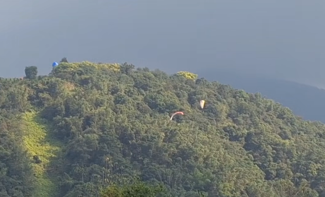 一名香港遊客在台灣南投玩滑翔傘時,在半空撞到一名台灣遊客的滑翔傘,兩人墜落樹林中沒有受傷。(影片截圖)