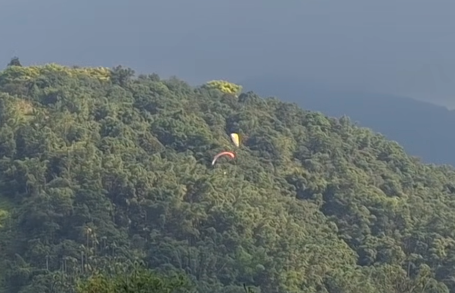 一名香港遊客在台灣南投玩滑翔傘時,在半空撞到一名台灣遊客的滑翔傘,兩人墜落樹林中沒有受傷。(影片截圖)