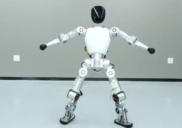 小布米Bumi售價低於一萬元人民幣。(互聯網)