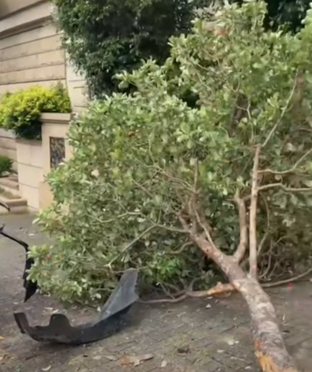 著名導演陳可辛駕平治越野車沿香島道東行,報稱其間突然有狗隻跑出,他閃避時撞到欄杆和樹,未有受傷,下車致電報警。(馬路的事 (即時交通資訊台)fb)