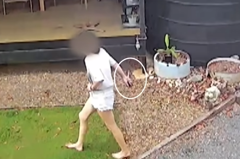 女子持剪刀闖入屋 澳男僅穿內褲對抗(有片)