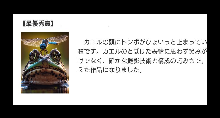 日本攝影比賽得獎照抄襲AI生成圖 非原創遭撤回獎項