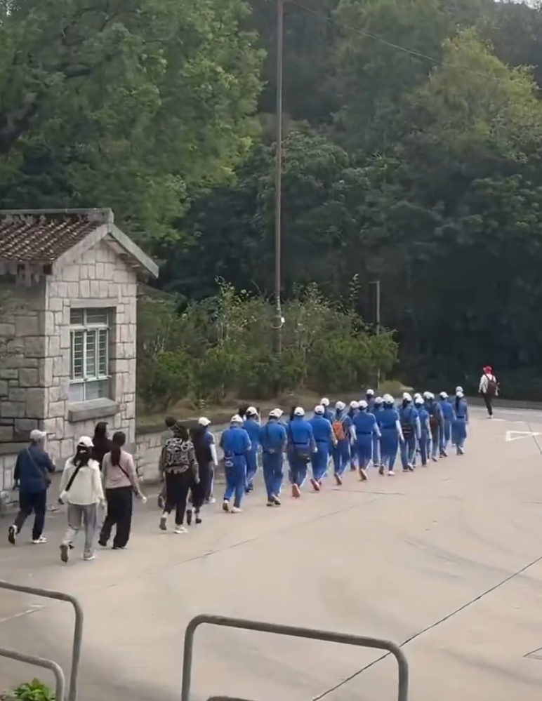 內地屢引發爭議的「暴走團」殺入香港,現身麥理浩徑。(影片截圖)