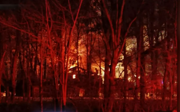 住宅起火疑為救寵物 男子與60條蛇葬身火海巨蟒變蛇乾