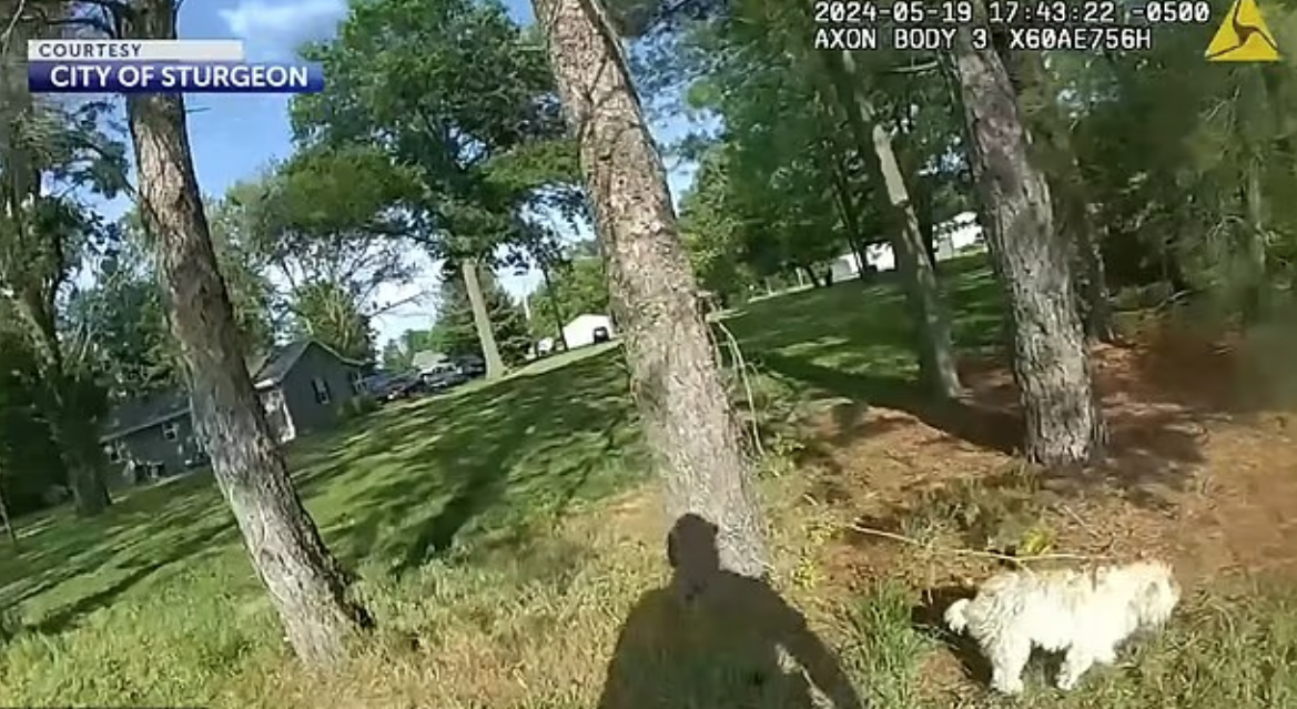 警員隨身攝錄機片段可見狗狗只是在草地上走來走去。(互聯網)