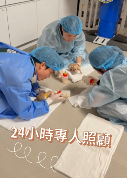 搜查犬課人員悉心照料。(海關FB)