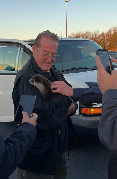 Splash屢立大功。(互聯網)