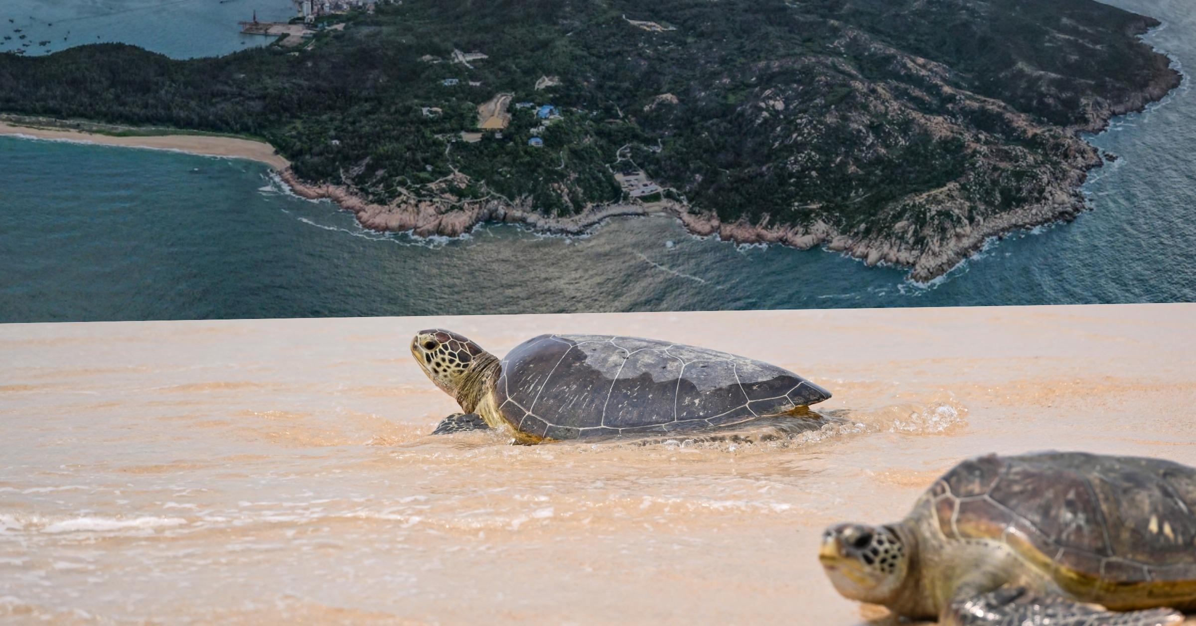 雙月灣附近有中國唯一國家海龜自然保護區,遊客可以藉機親親大自然。(圖片來源:視覺中國)