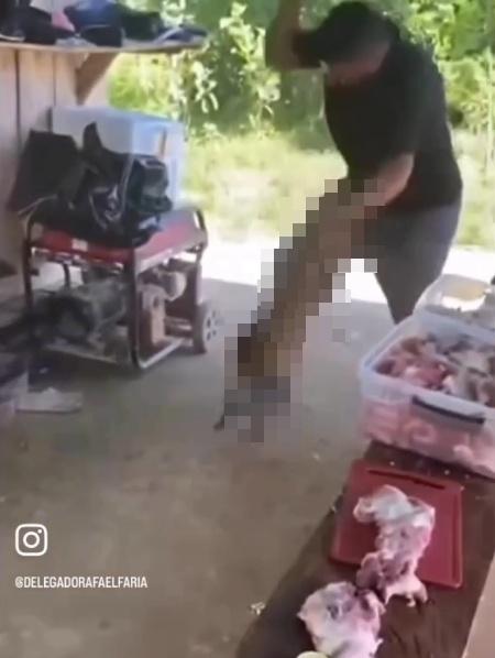 男子一手抓出狗狗後腿,用棍狀物猛打狗狗臀部。(X)