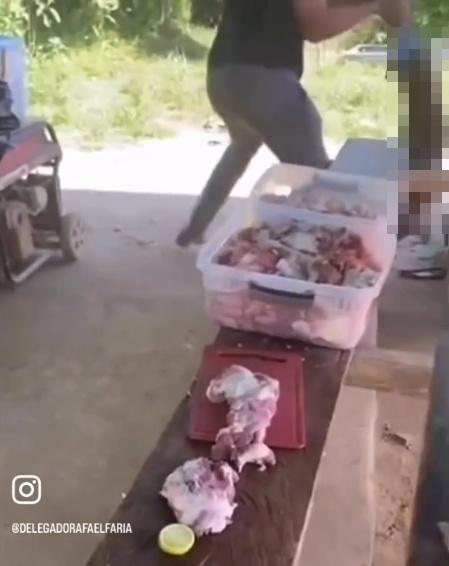 男子之後將牠抽至半空猛擲地面。(X)