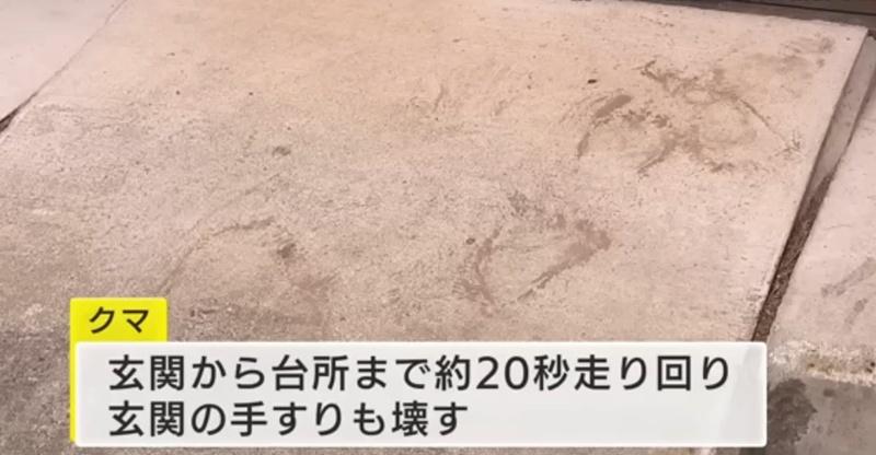 熊的掌印仍可在住宅外的地上清楚地看出。(YouTube)