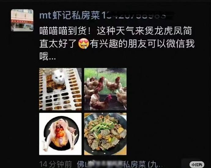 餐廳表示:「喵喵喵到貨,這天氣煲龍虎鳳太好了」。(微博)